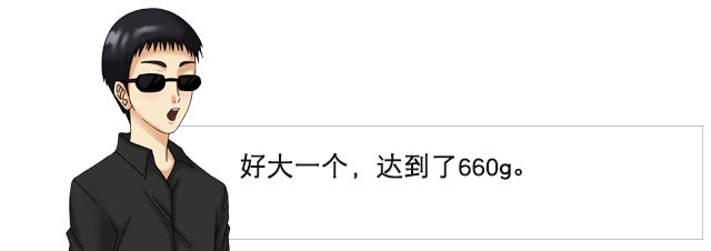 姐姐的秘密竟然有如此深厚 | 奈奈子的秘密测评(图8)