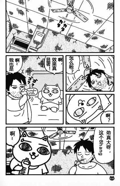 【猫猫旅行记 （二）印度篇】转载(图5)