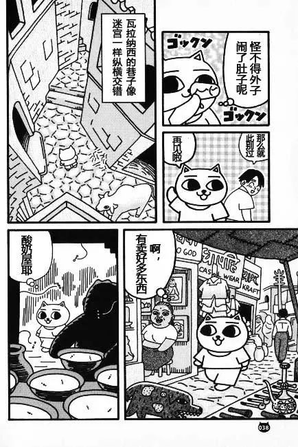 【猫猫旅行记 （二）印度篇】转载(图14)