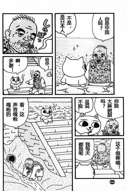 【猫猫旅行记 （二）印度篇】转载(图20)