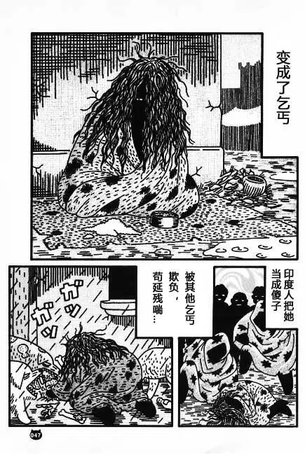 【猫猫旅行记 （二）印度篇】转载(图23)
