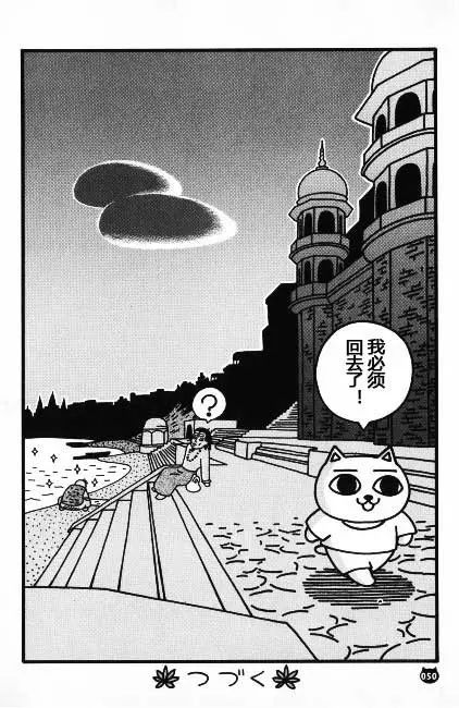 【猫猫旅行记 （二）印度篇】转载(图26)