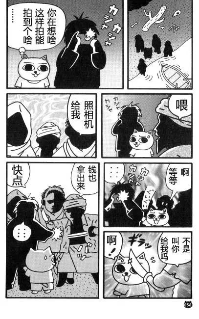 【猫猫旅行记 （三）印度篇】转载(图7)