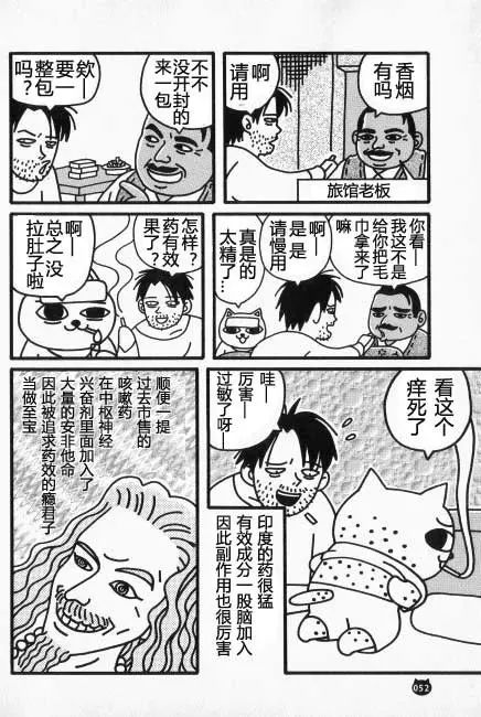 【猫猫旅行记 （三）印度篇】转载(图3)