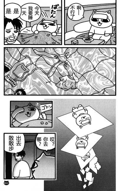【猫猫旅行记 （三）印度篇】转载(图4)