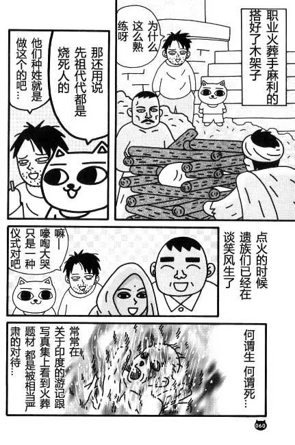 【猫猫旅行记 （三）印度篇】转载(图11)