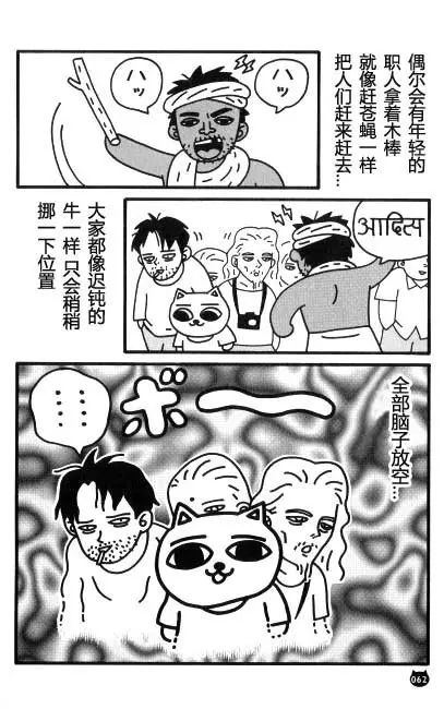 【猫猫旅行记 （三）印度篇】转载(图13)