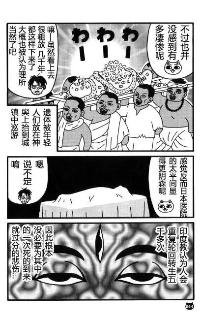 【猫猫旅行记 （三）印度篇】转载(图14)