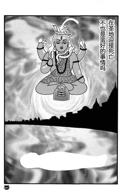 【猫猫旅行记 （三）印度篇】转载(图15)