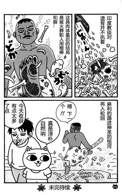 【猫猫旅行记 （三）印度篇】转载(图16)