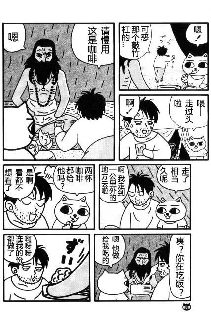 【猫猫旅行记 （三）印度篇】转载(图30)