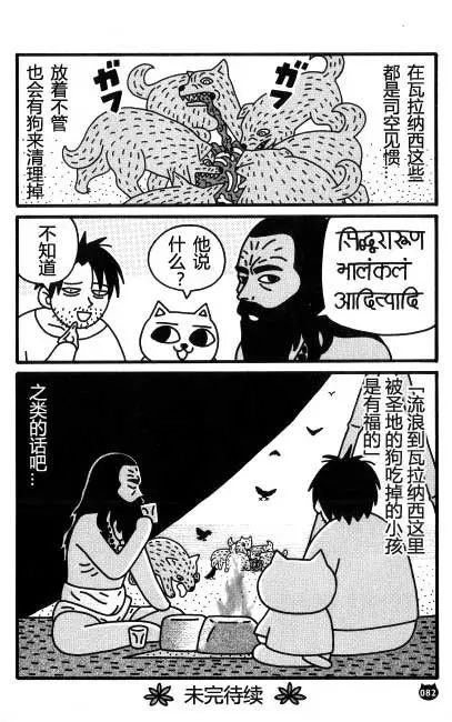 【猫猫旅行记 （三）印度篇】转载(图32)
