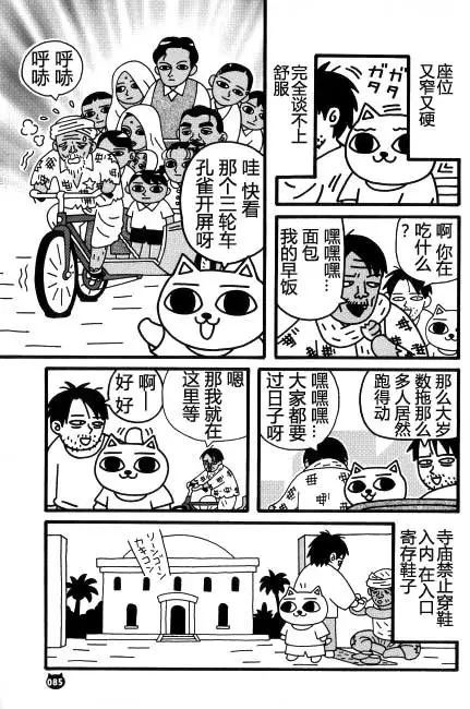 【猫猫旅行记 （四）印度篇】转载(图4)