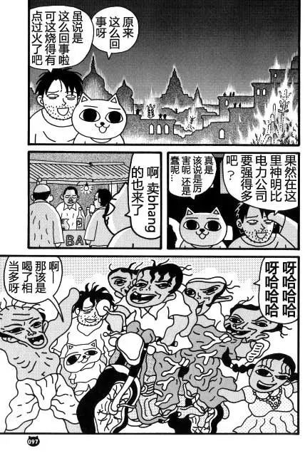 【猫猫旅行记 （四）印度篇】转载(图16)