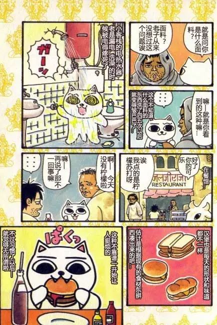 【猫猫旅行记 （五）印度篇】转载(图4)