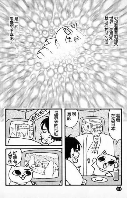 【猫猫旅行记 （五）印度篇】转载(图9)