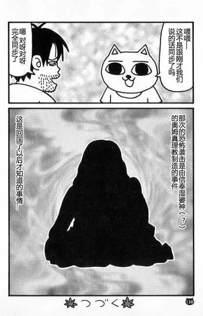 【猫猫旅行记 （五）印度篇】转载(图11)