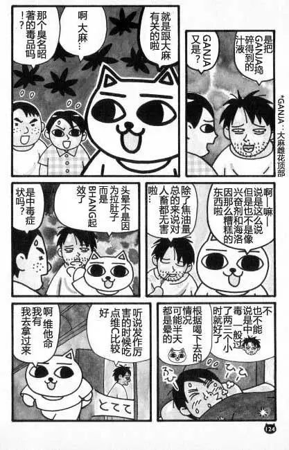 【猫猫旅行记 （五）印度篇】转载(图15)