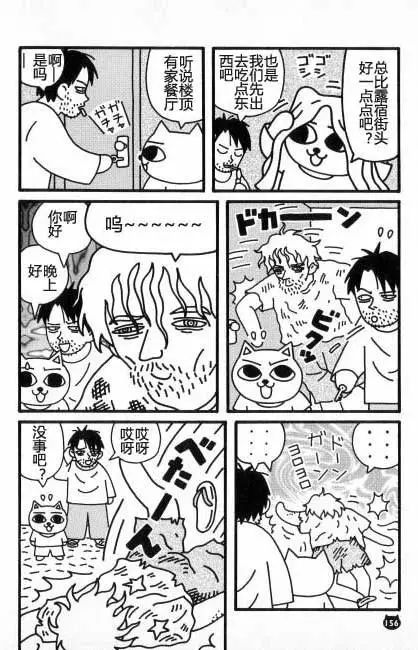 【猫猫旅行记 （六）印度篇】转载(图20)