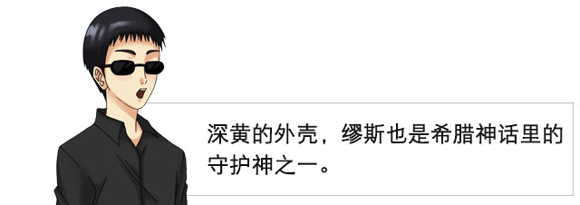 大魔王系列第二弹| 大魔王muses 视频测评(图7) 大魔王系列第二弹| 大魔王muses 视频测评(图7)