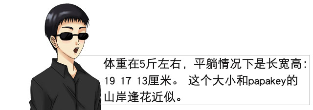 安斋拉拉陪伴你的第二次| 安斋拉拉美尻 视频测评(图8) 安斋拉拉陪伴你的第二次| 安斋拉拉美尻 视频测评(图8)
